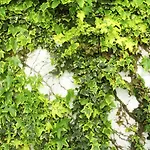 Trash Deluxe Hotel Maastricht