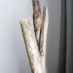 Trash Deluxe Hotel 3*