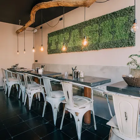 Trash Deluxe Hotel 3*