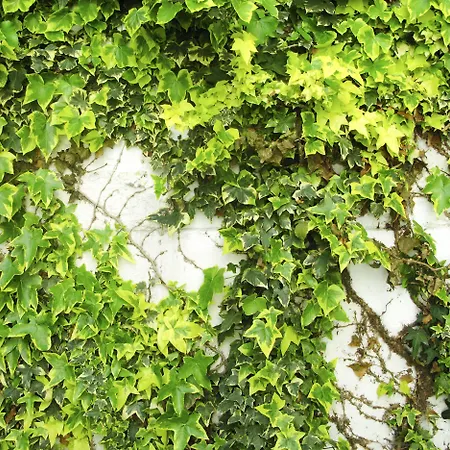 Trash Deluxe Hotel Maastricht