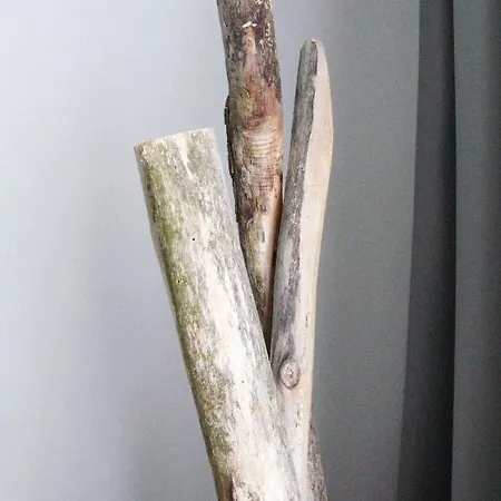 Trash Deluxe Hotel 3*