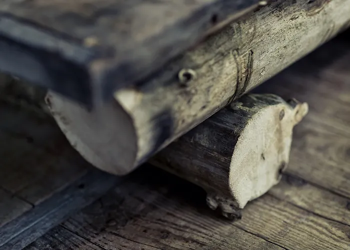 Otel Trash Deluxe Maastricht