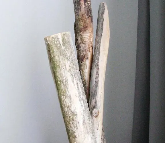 Trash Deluxe Otel 3*