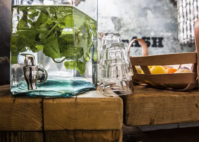 Trash Deluxe מלון 3*