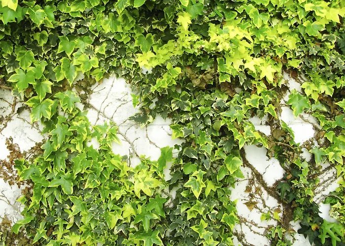 Trash Deluxe מלון מאסטריכט